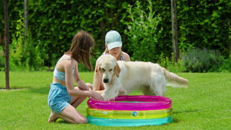 niños y perros disfrutando de una piscina inflable en el patio trasero