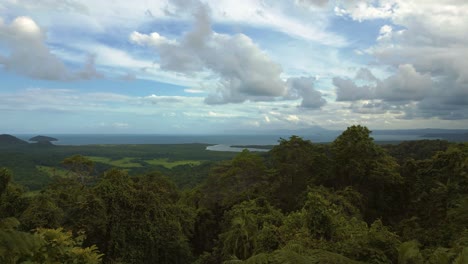 Daintree-Regenwald-Aussichtspunkt,-Cape-Tribulation-Australien