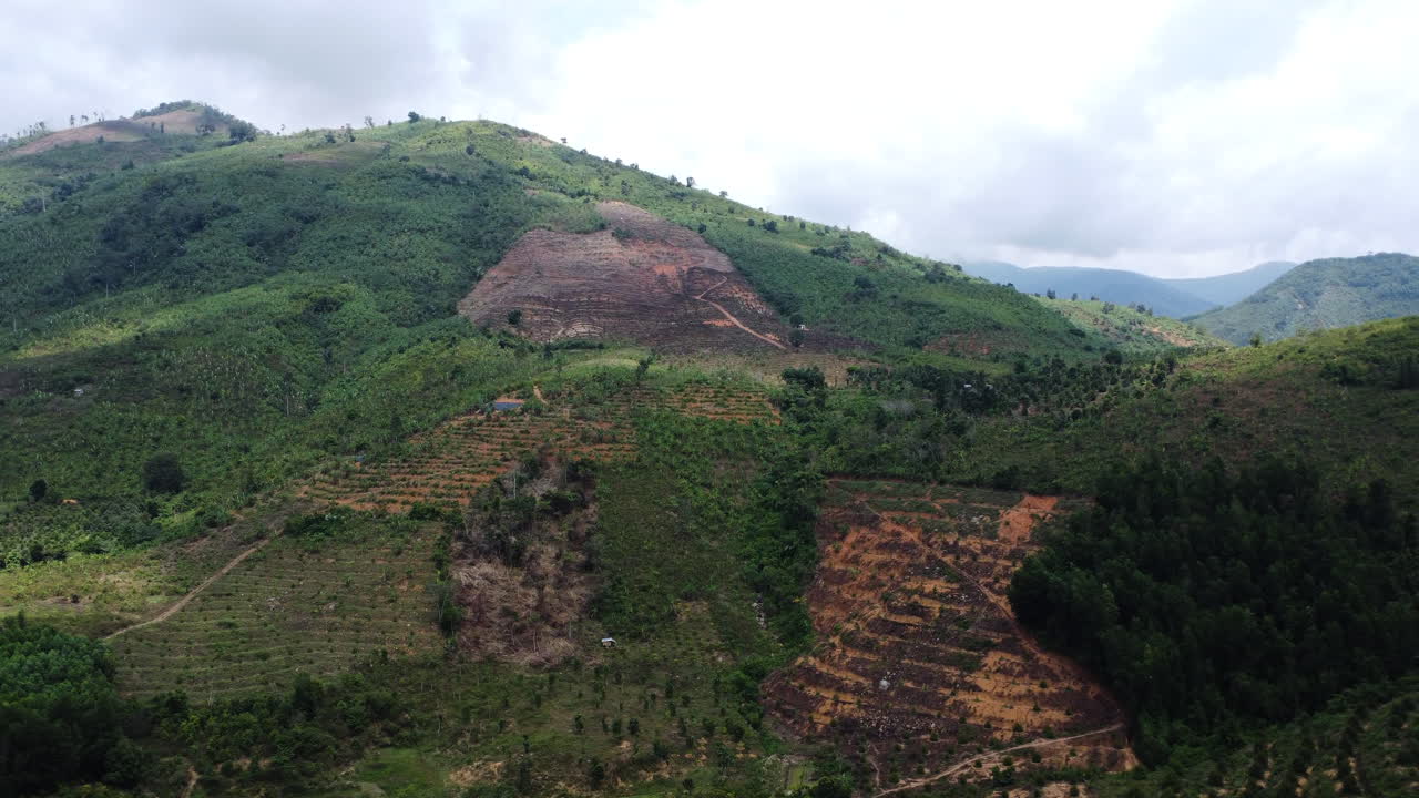 cortar parcelas de tierra de bosque para producir madera en todo el mundo