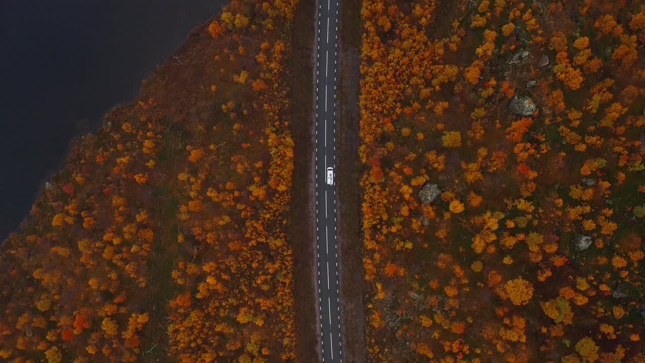A winding road surrounded by colorful autumn foliage in vestarelen, norway, aerial view