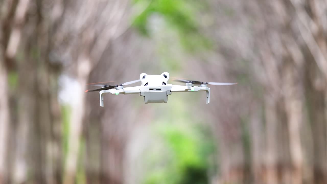 White quadcopter drone hovers steadily among symmetrical rubber trees, natural daylight, shallow depth of field