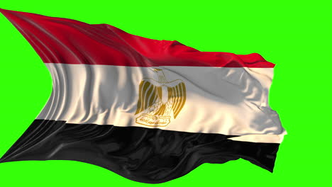 Waving Egyptian Flag on Green Screen
