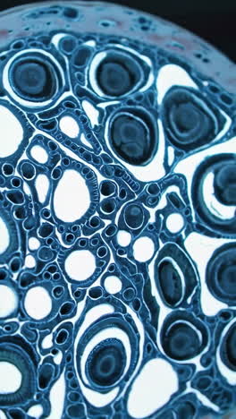 abstract art with blue and white patterns