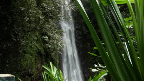 powerful são nicolau waterfall in são tomé island