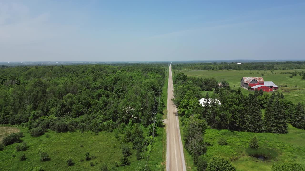 울창한 초록색 자연과 함께 고립되고 끝없는 도로