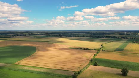 Luftaufnahme-Mit-Der-Landschaftsgeometriestruktur-Vieler-Landwirtschaftlicher-Felder-Mit-Verschiedenen-Pflanzen-Wie-Raps-In-Der-Blütezeit-Und-Grünem-Weizen