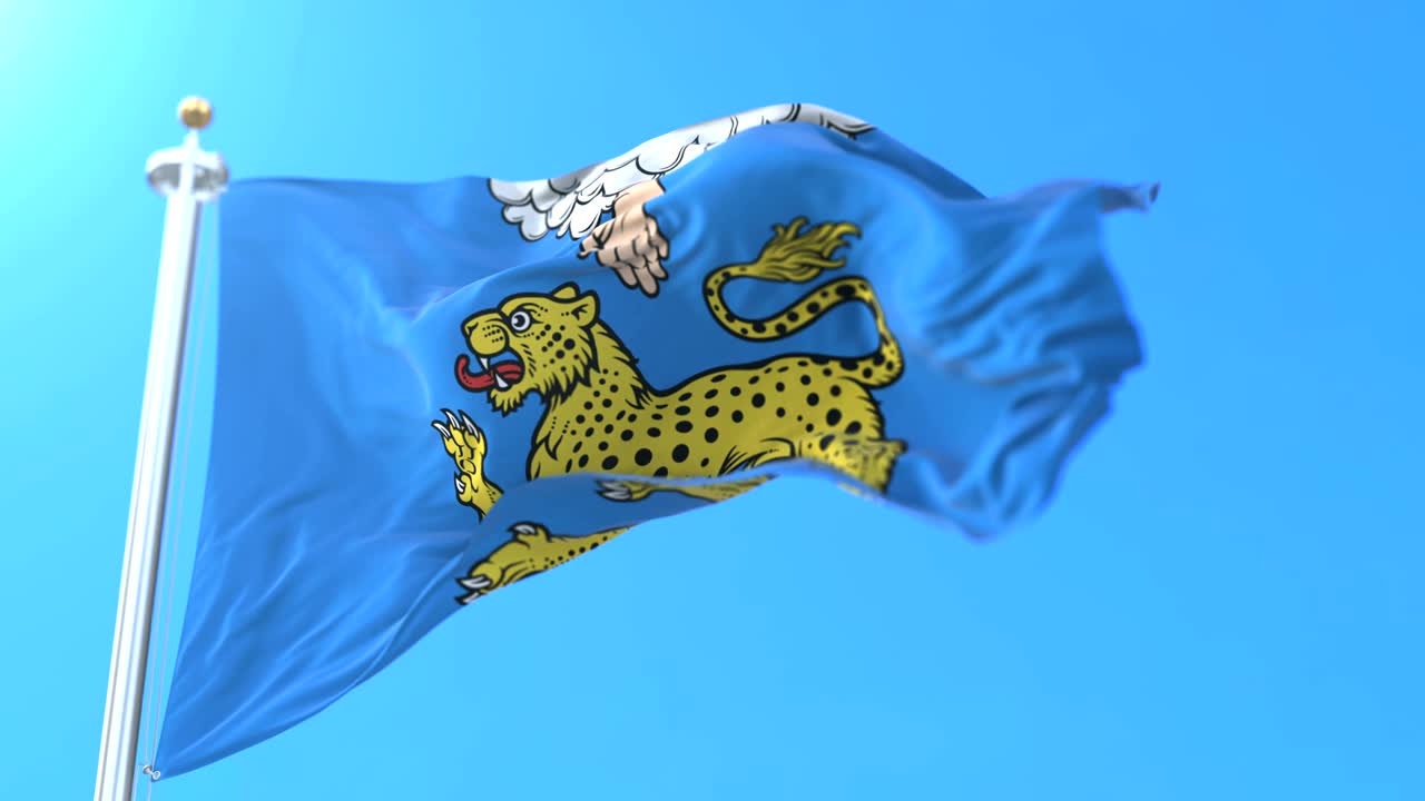 러시아의 도시이자 행정 중심지인 플스코프의 국기.