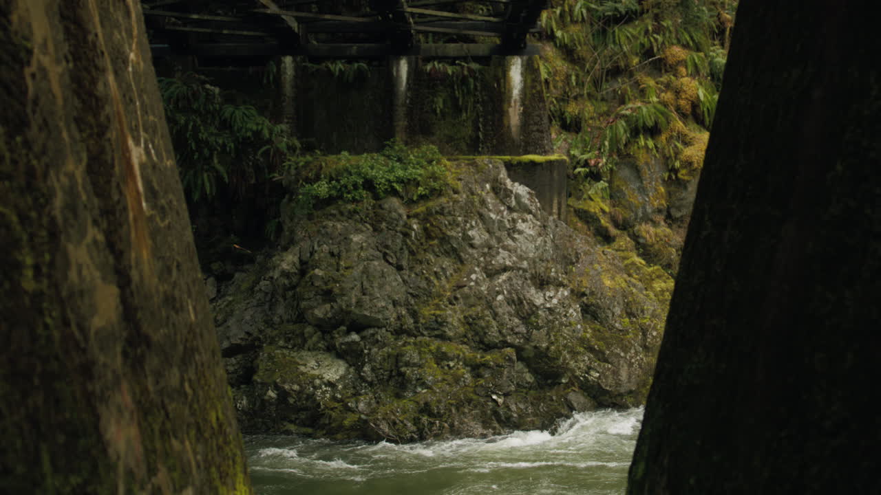 Amidst the misty forest, an old train bridge emerges, enveloped in an ethereal aura. Its weathered structure stands as a testament to forgotten tales, a bridge between past and present.