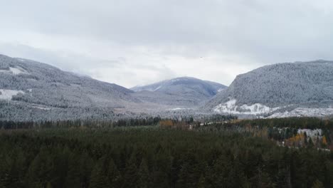 Pine-forest-overlooking-the-mountain-ranges-4k