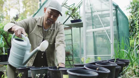 african american male gardener watering seedlings at garden center