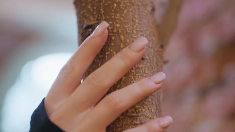 close up of woman hand with glossy acrylic nails gently brushing textured tree trunk in softly lit interior with blurred background, highlighting natural contact and tactile sensation of bark surface