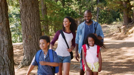 family on hiking adventure walking along path through woods