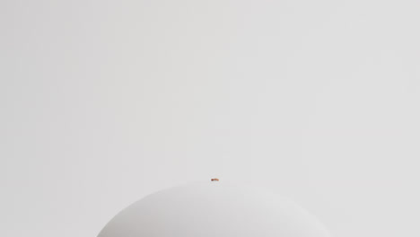 white rugby ball on white background with copy space, slow motion