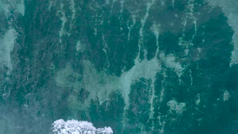 Top-Down-Slow-Motion-Drone-View-of-crystal-clear-water-and-crashing-waves-over-shallow-coral-reef-in-Uluwatu-Bali-Indonesia