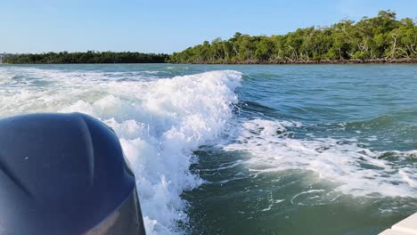 delfín salta alto en el aire fuera del agua a través de las olas detrás del barco