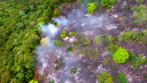 vista aérea con vista al bosque humeante, un incendio forestal, ardiendo en la jungla, en el congo, áfrica central - pan, tiro de drones