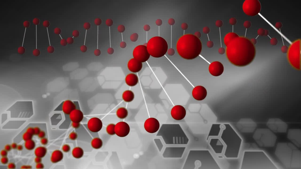 디지털 DNA 헬릭스