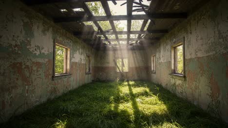 an abandoned room overgrown with grass and illuminated by sunlight, capturing the beauty of nature's reclamation and the passage of time