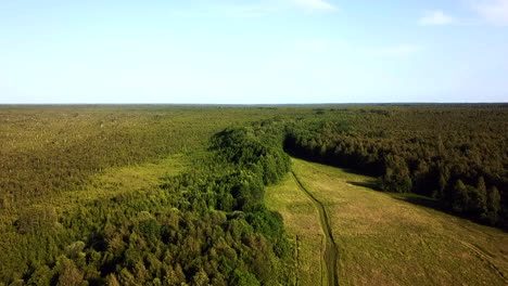 Mitten-In-Sümpfen-–-Syrrealistische-Natur-Bei-Soontaga