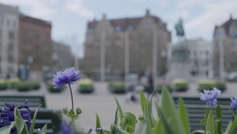 medium wide shot of stortorget - malmö, sweden