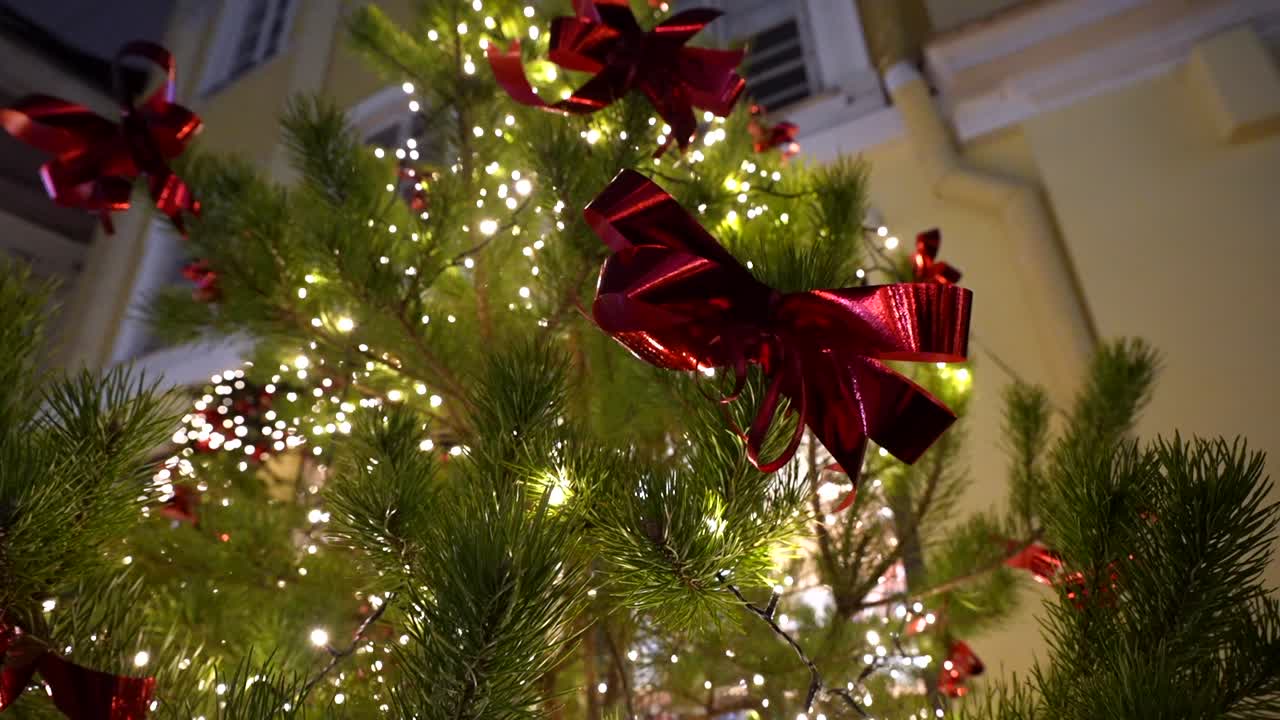 Close up of a light up christmas tree with red bows at night