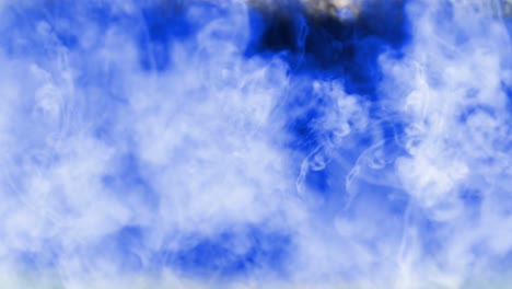 smoke ink clouds macro, motion 4k