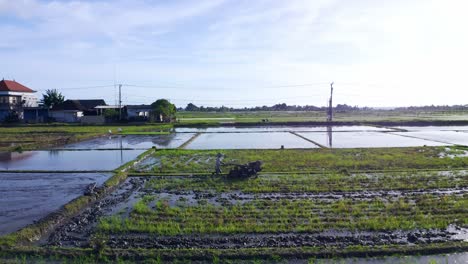 Reveladora-Toma-Aérea-De-Un-Agricultor-De-Arroz-Usando-Un-Tractor-De-Mano-Cerca-De-Seseh,-Bali---Indonesia