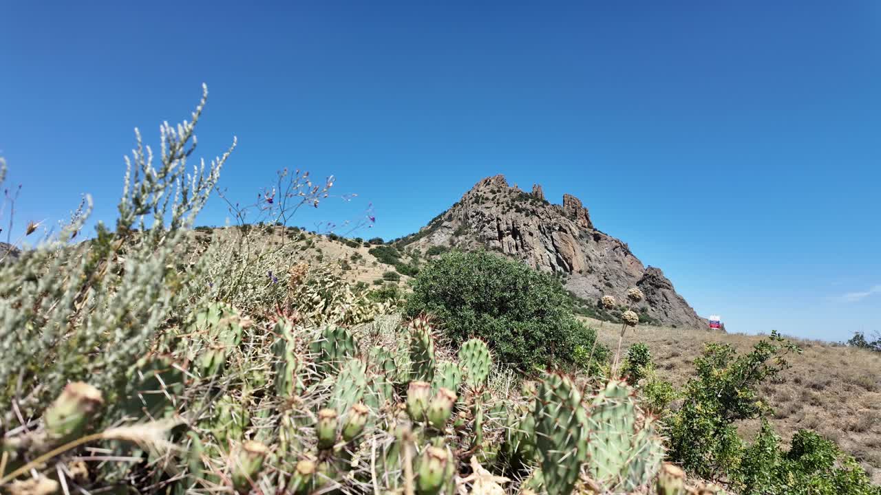 Mountain landscape with cacti and clear sky