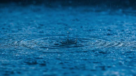 capturing the tranquil beauty of raindrops creating ripples on a serene water surface as nature's symphony unfolds in a blue-toned landscape