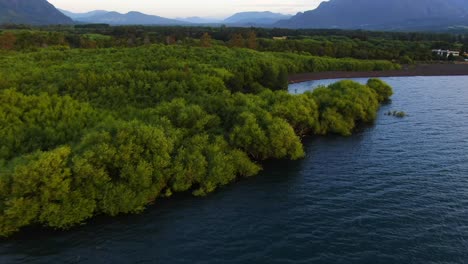 Drohnenaufnahmen-Von-Sträuchern-Am-Fuße-Des-Chilenischen-Vulkans-Villarrica-Und-Des-Sees,-Die-üppiges-Grün,-Andenflora-Und-Natürliche-Schönheit-Zeigen