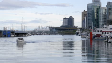 an amazing attraction in stanley park vancouver on a fine afternoon- medium shot