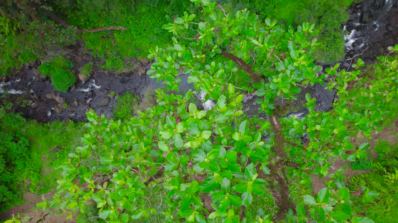 la cascada de materuni es una de las cascadas del río mware en tanzania.
