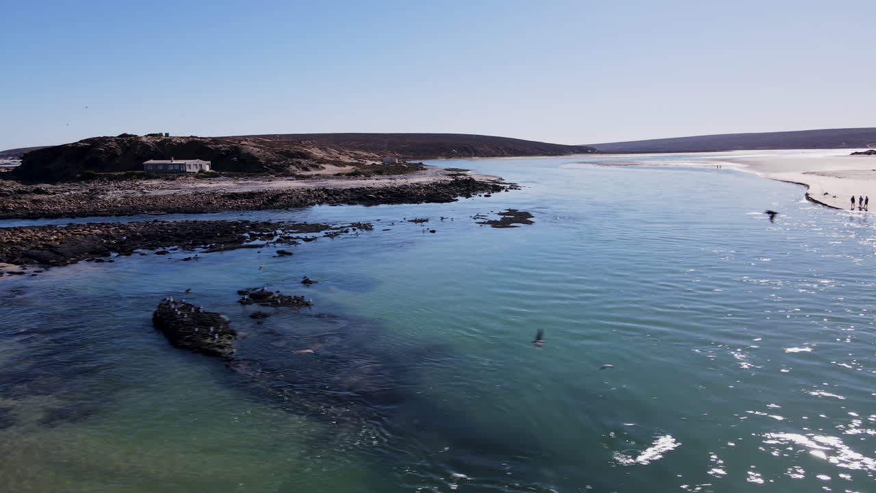 varias aves en vuelo en la desembocadura del estuario del río olifants