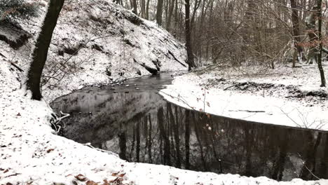 Río-En-Un-Bosque-Nevado