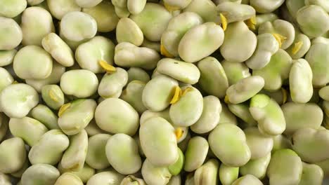 rotating broad beans green fresh turning round