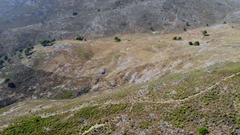drone filmado volando sobre los campos y colinas de andalucía, españa