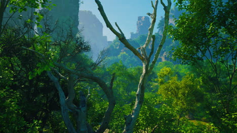 un bosque exuberante con árboles verdes y un cielo azul