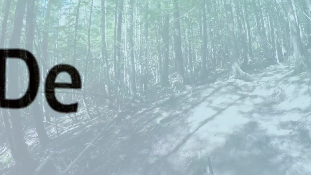 숲에 대한 비즈니스 동기 부여 텍스트의 애니메이션