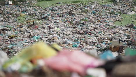 contaminación de un río por basura