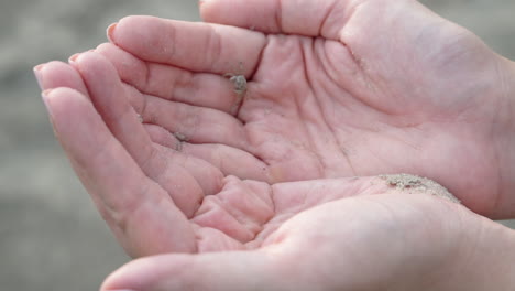 very small white beach crab walking and running on the hands of a woman trying to escape