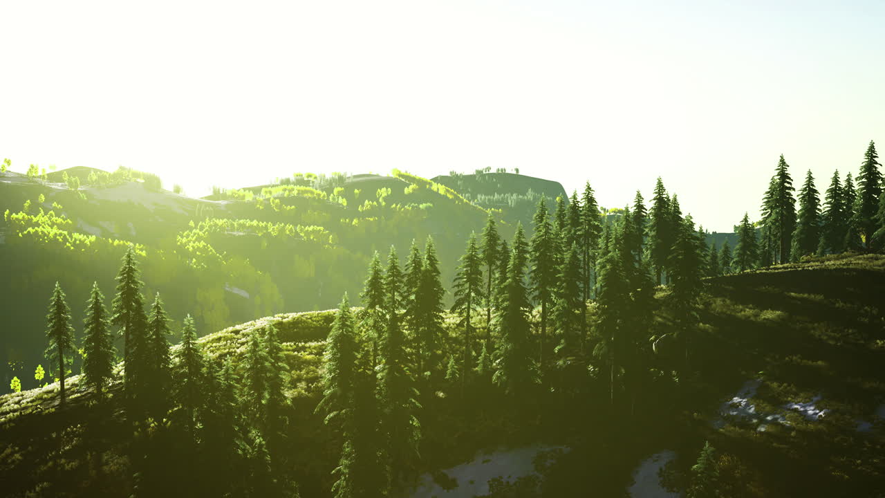 Lush green hills bathed in golden sunlight during a tranquil dawn