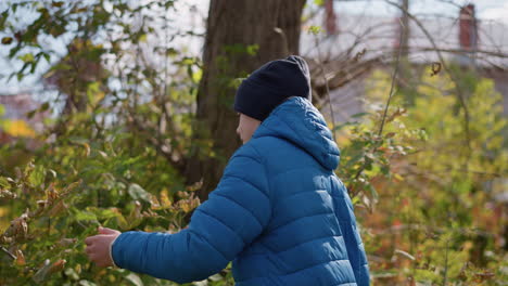 side view of a young boy wearing a blue jacket and black beanie walking up to a tree, plucking leaves, and putting them into a paper bag, with a blurred background featuring greenery and a building