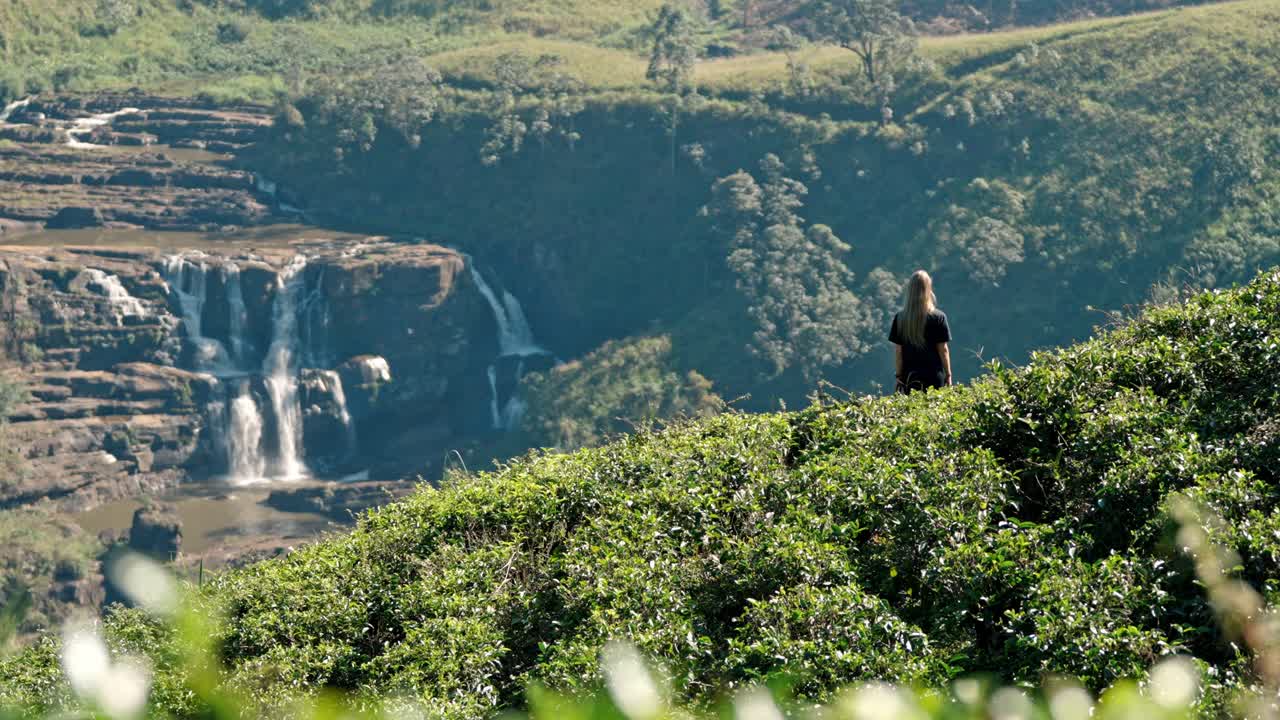 Footage of a woman walking through lush tea plantations at Saint Clair’s Falls in Nuwara Eliya, Sri Lanka.