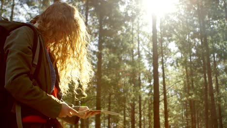 mujer mirando el mapa en el bosque 4k
