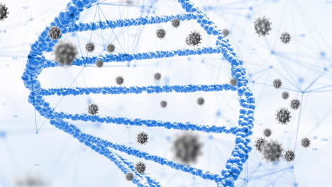 Animación-De-Células-Virales-Y-Cadenas-De-ADN-Sobre-Fondo-Blanco.