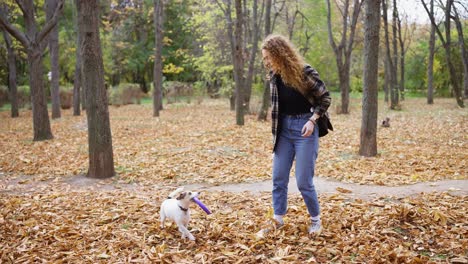 Mujer-Joven-Entrenando-A-Su-Jack-Russell-Terrier-En-La-Naturaleza-Pidiendo-Saltar-Por-Un-Anillo