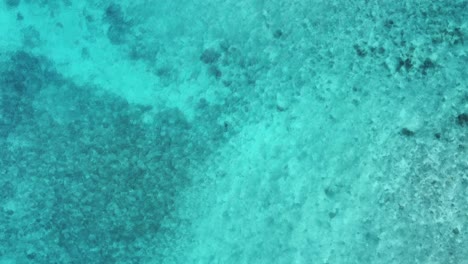sobrevuelo aguas poco profundas de la laguna turquesa: un fondo móvil del espacio de copia
