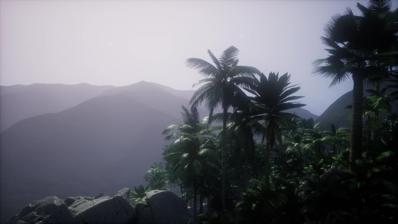 Sunset Beams through Palm Trees