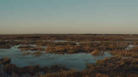 Low-aerial-footage-flying-over-the-lush-Florida-marshlands