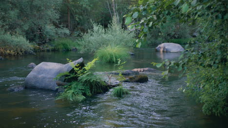 río dao cámara de cámara lenta grúa tiro largo